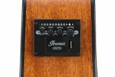 Ibanez AAM50CE-OPN