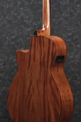 Ibanez AEG200-LGS