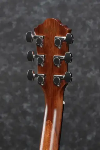 Ibanez AEG200-LGS