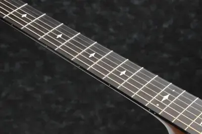 Ibanez AEG200-LGS