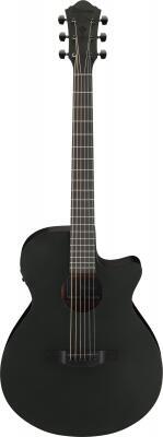Ibanez AEG621-BOT
