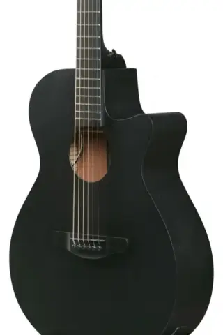 Ibanez AEG621-BOT