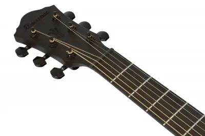 Ibanez AEG621-BOT