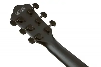 Ibanez AEG621-BOT