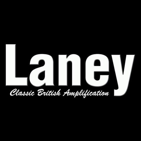 Laney CXM-112 Monitor - Passiv