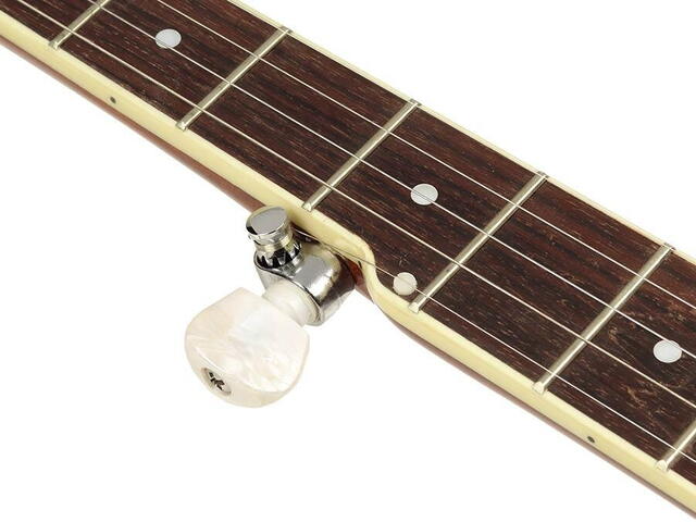 Richwood - RMB-405 - Master Series open back 5-string folk banjo. 