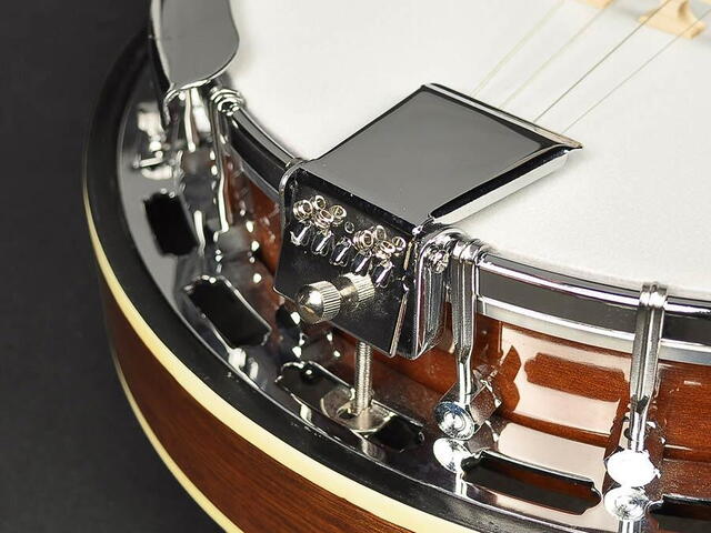 Richwood - RMB-604 - Master Series tenor banjo 4-string. **UDSOLGT**