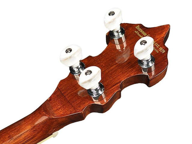 Richwood - RMB-605 - Master Series folk banjo 5-string