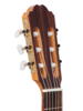 Kremona F65C classical guitar