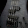 Spector Euro4 LX Bolt-on - Transparent Black Elbas
