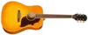 Hummingbird Tribute Heritage CS