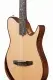 Ibanez TOD100N-NT