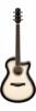 Ibanez AAM370M1CE-TPA