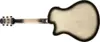 Ibanez AAM370M1CE-TPA