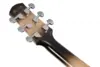 Ibanez AAM370M1CE-TPA