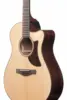 Ibanez AAM380CE-NT