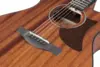 Ibanez AAM54CE-OPN