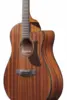 Ibanez AAM54CE-OPN