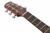 Ibanez AAM54CE-OPN