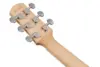 Ibanez AAM370M2E-AIB