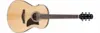 Ibanez AAM100E-NT Advanced Auditorium