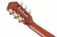 Ibanez FRH20SMN-TCL