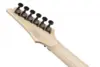 Ibanez RG550-BKF RG Genesis Spot Black Flat