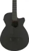 Ibanez AEGB420-BOT
