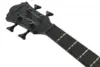 Ibanez AEGB420-BOT