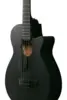 Ibanez AEGB420-BOT
