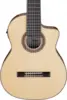 Ibanez GA3008CE-NT