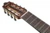 Ibanez GA3008CE-NT