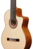 Ibanez GA3008CE-NT