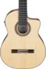 Ibanez GA3007CE-NT