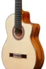 Ibanez GA3007CE-NT