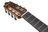 Ibanez GA3007CE-NT