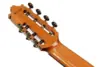 Ibanez GA3007CE-NT