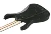 Ibanez RGR5111RB-WK – Prestige Spot