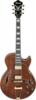 Ibanez AG95MG-DA