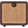 Ortega PTWO – 12W Practice Amp & Bluetooth-højttaler