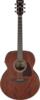 Ibanez AJ54E-OPN