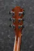 Ibanez AEG200-LGS