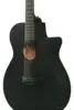 Ibanez AEG621-BOT