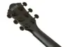 Ibanez AEG621-BOT