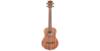 KALA KA-TEAK-T - Teak Tenor Ukulele