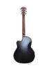 Roundback halvakustisk guitar