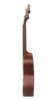 Makua KA-S23 Concert ukulele - Massiv  Gran( Inkl. taske )