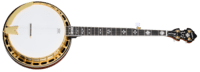 Epiphone Earl Scruggs Golden Deluxe Banjo VS