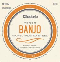 D'Addario Fretted EJ63 Tenor Banjo