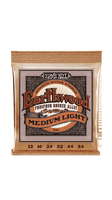 Ernie Ball Earthwood Phosphor Bronze Medium Light 12-54